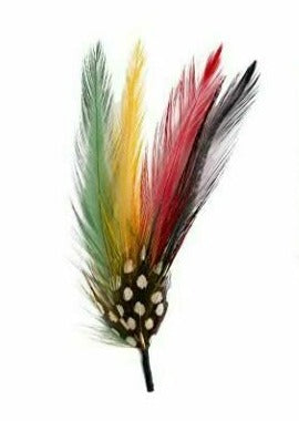 Hat Feather Multicolor 2-Pack - RGYB