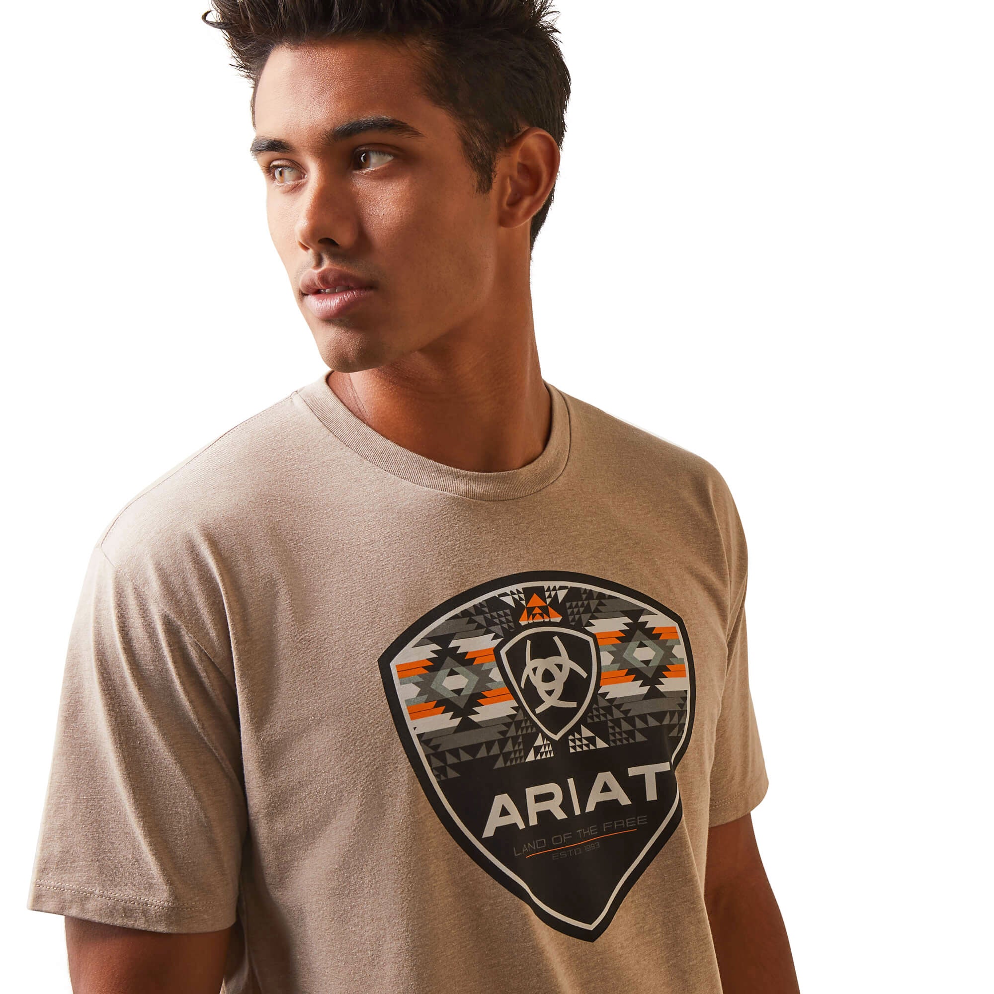 Ariat Oatmeal Heather Geo Fill T-Shirt