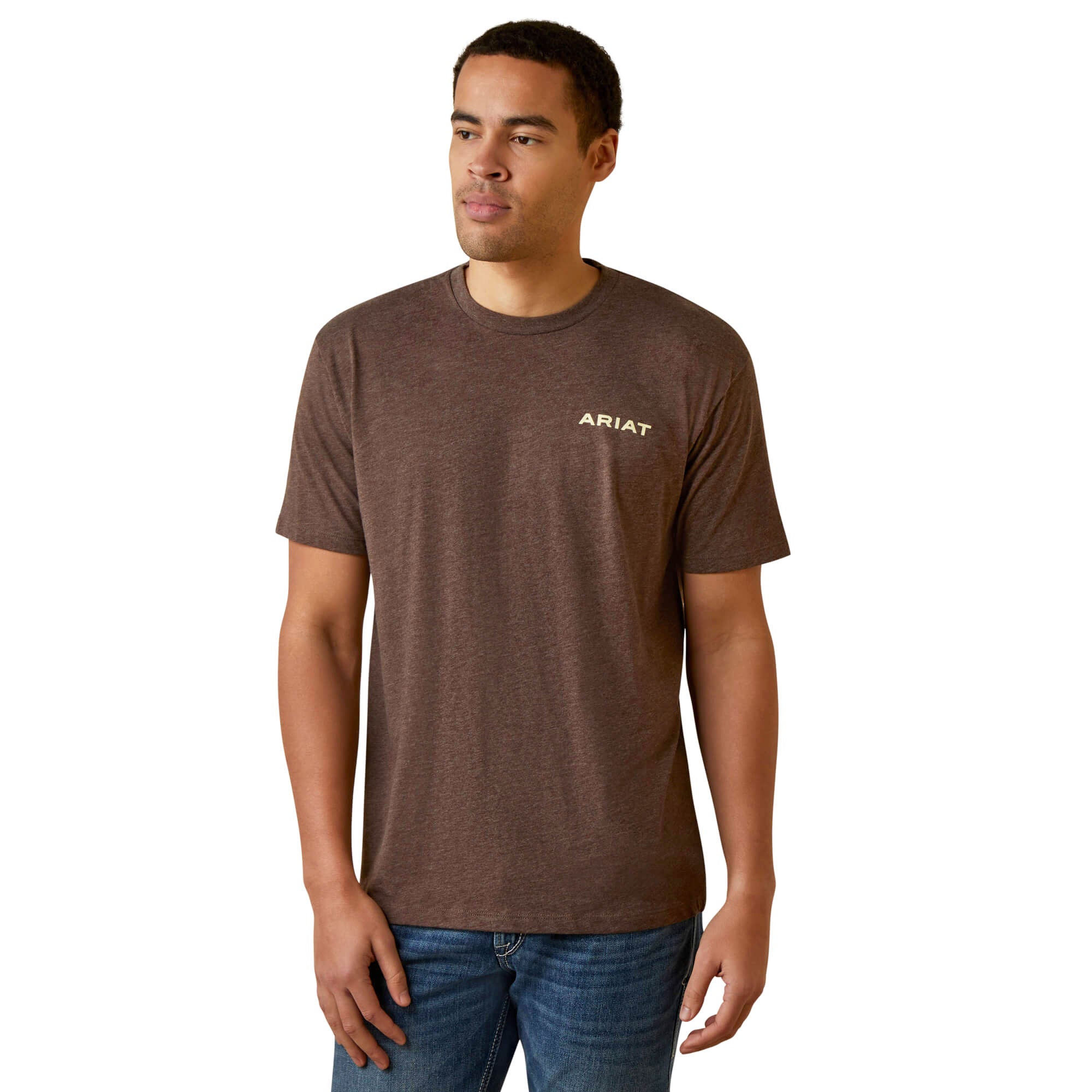 Ariat Brown Heather Retro Stripe T-Shirt